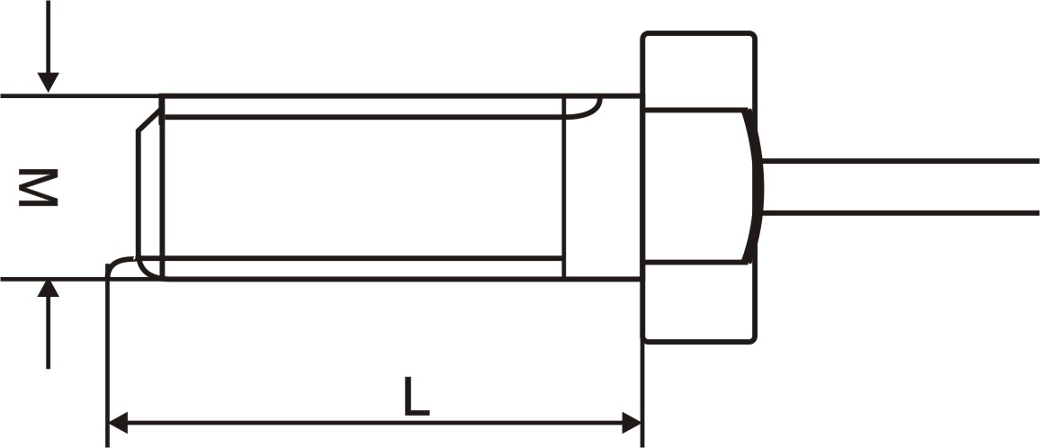 WZP020螺纹安装铂电阻(图2)