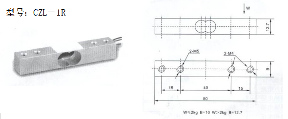 CZL－1R微型传感器(图1)